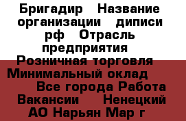 Бригадир › Название организации ­ диписи.рф › Отрасль предприятия ­ Розничная торговля › Минимальный оклад ­ 35 000 - Все города Работа » Вакансии   . Ненецкий АО,Нарьян-Мар г.